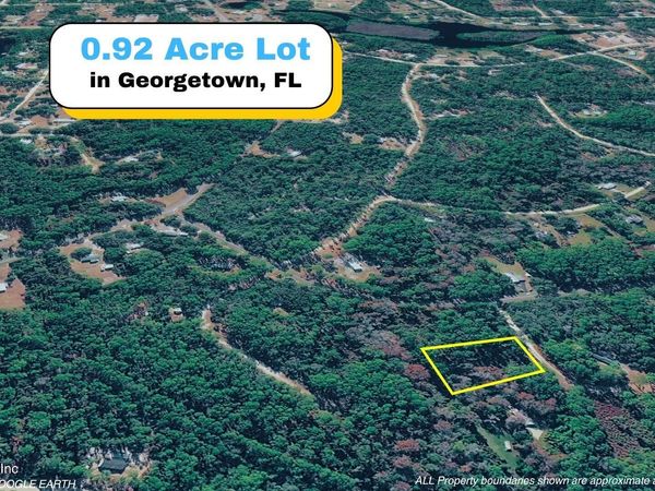 102 HYACINTH Court, Georgetown, FL 32139