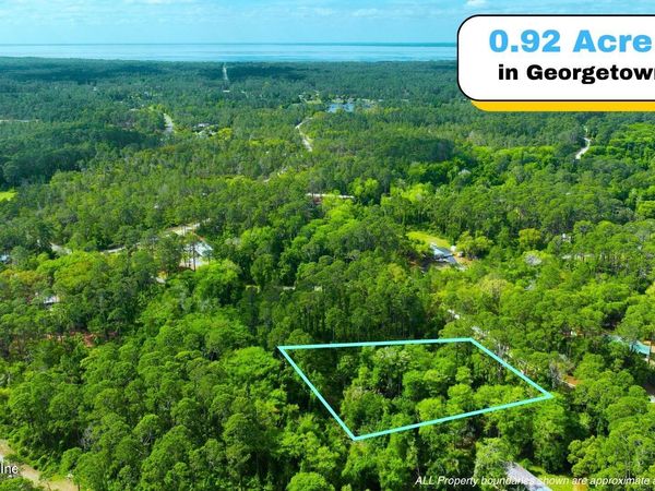 102 HYACINTH Court, Georgetown, FL 32139