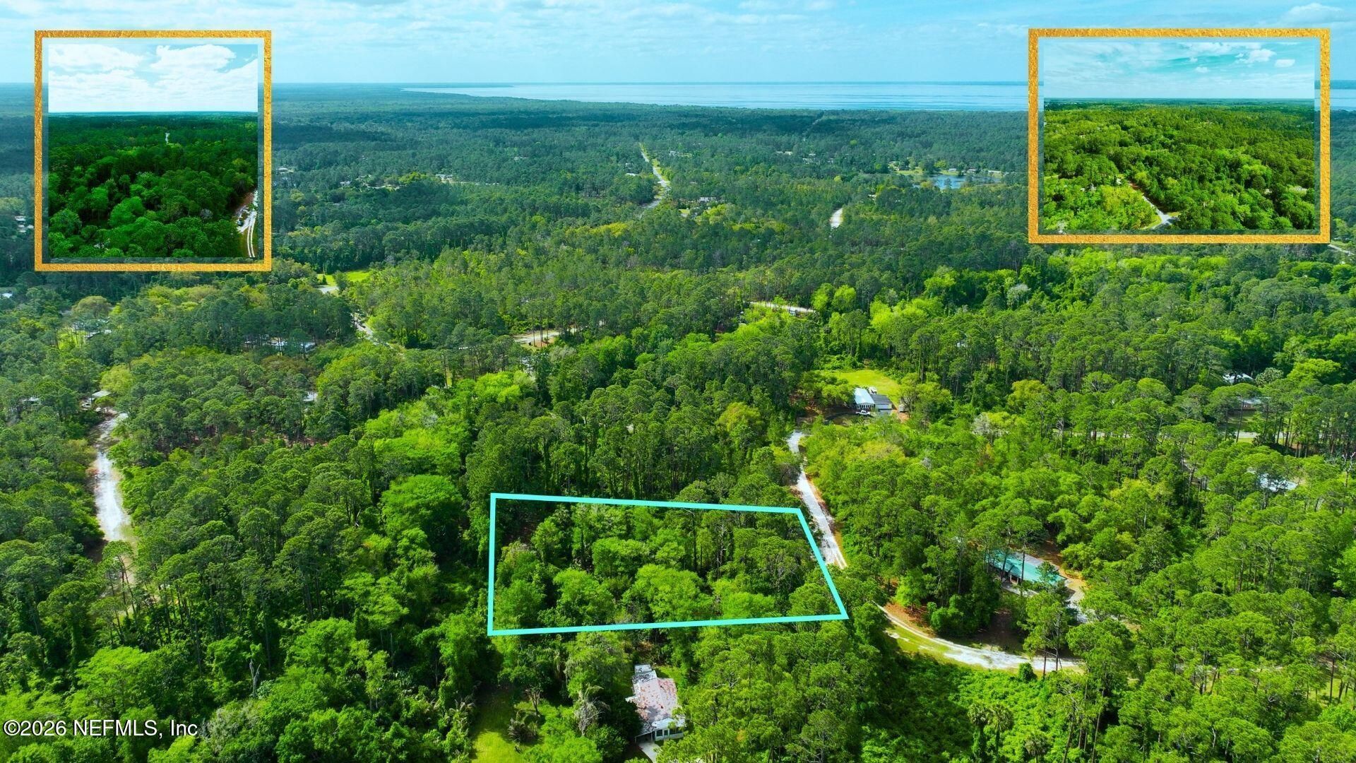 102 Hyacinth Court, Georgetown, FL 32139 Photo