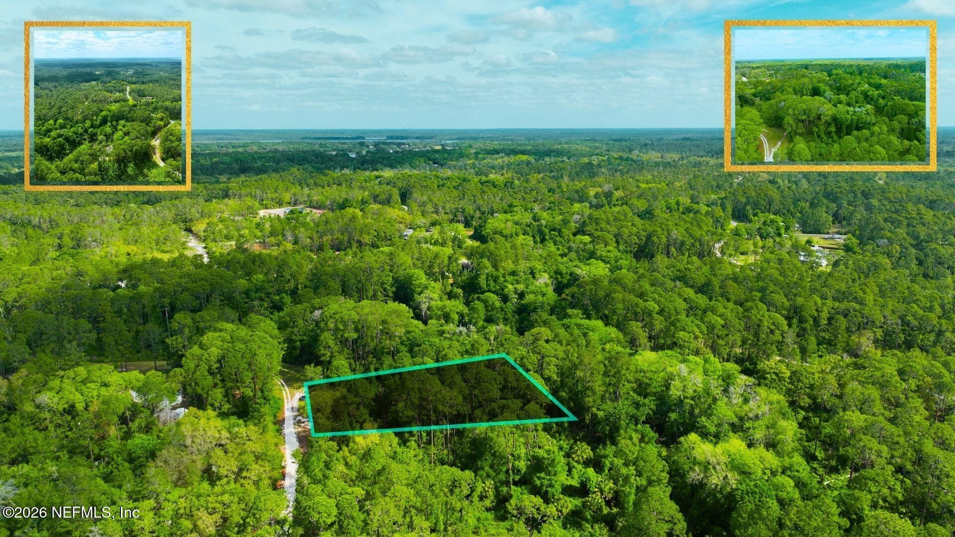 102 Hyacinth Court, Georgetown, FL 32139 Photo