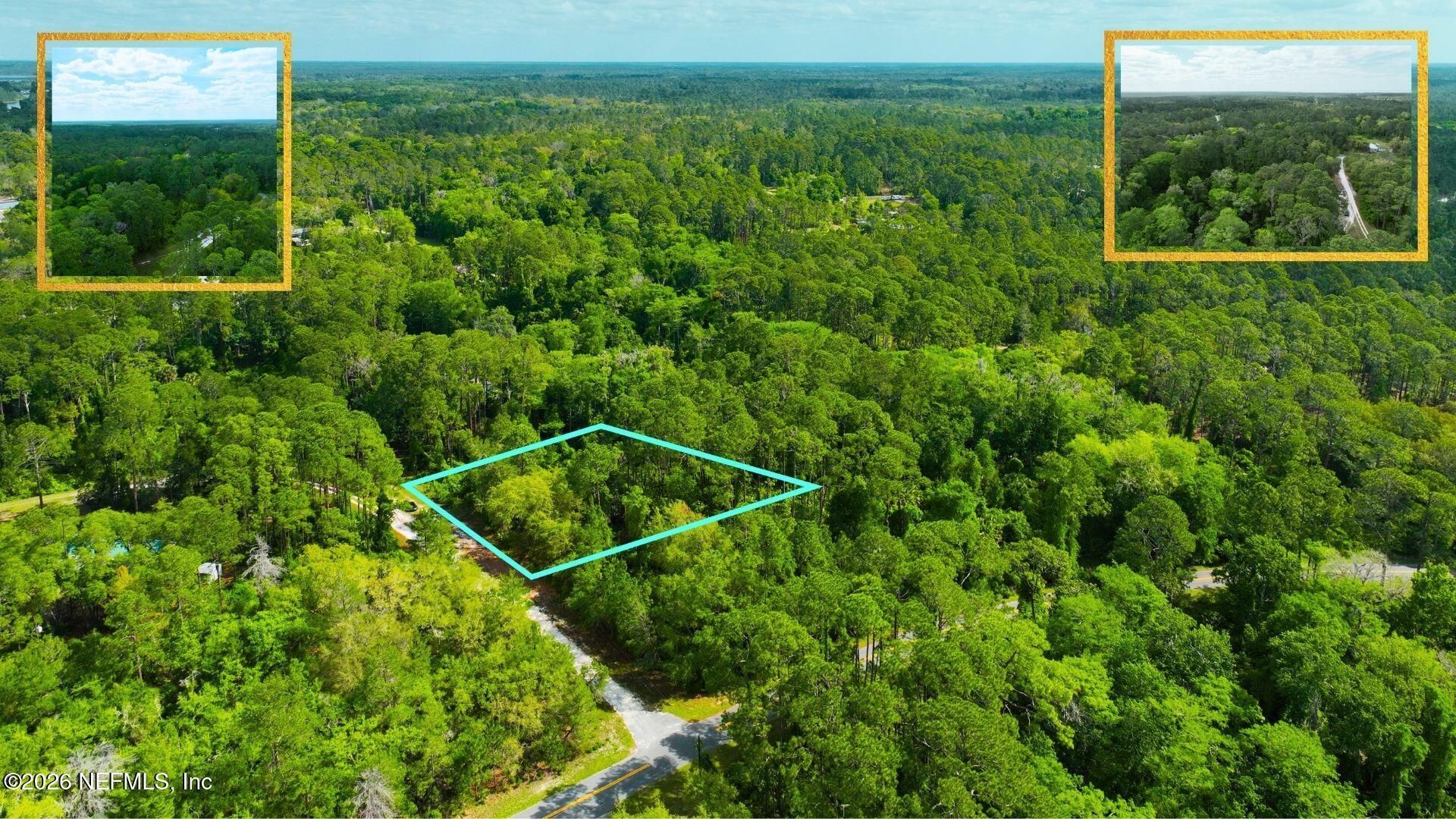 102 Hyacinth Court, Georgetown, FL 32139 Photo