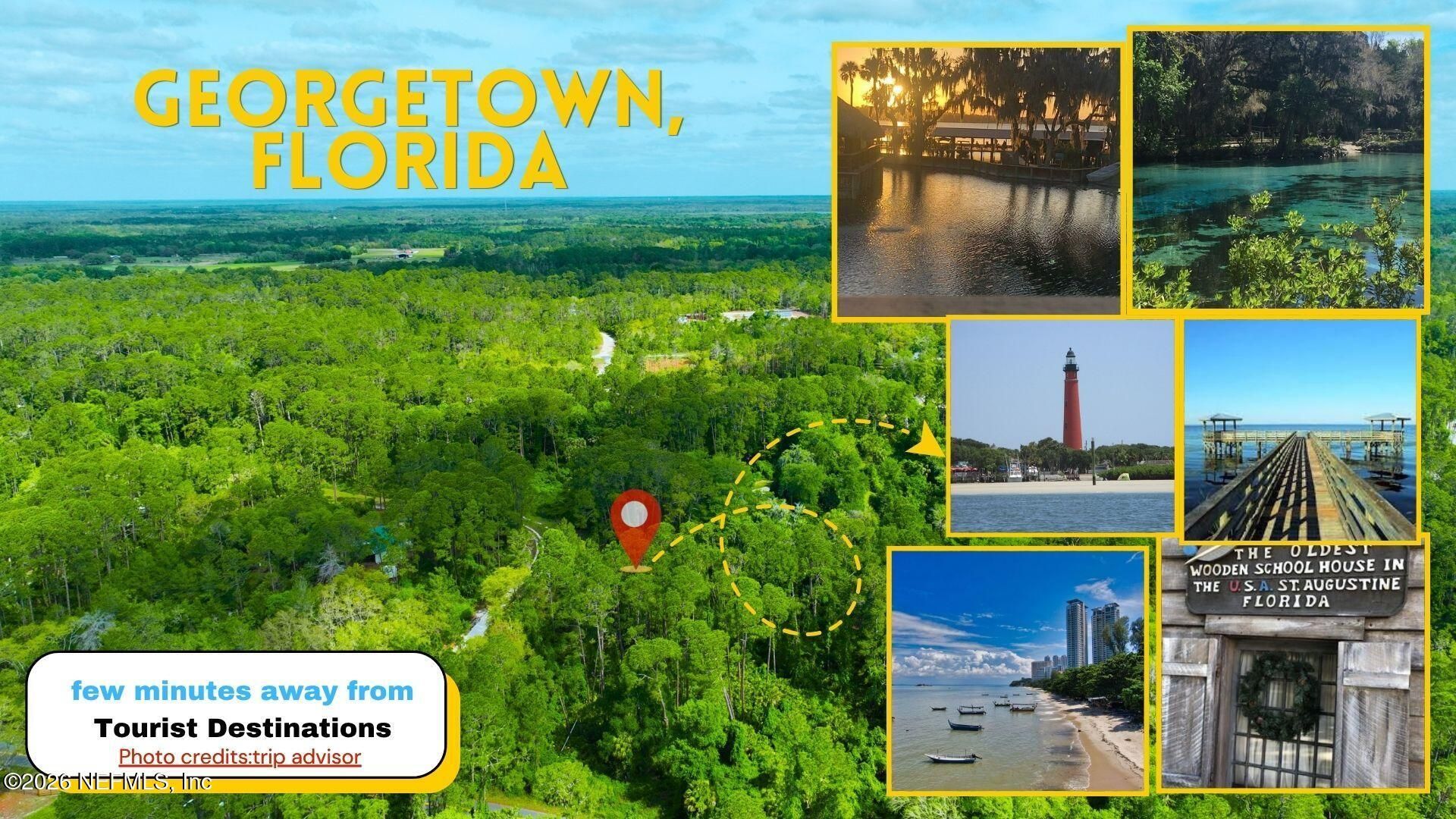 102 Hyacinth Court, Georgetown, FL 32139 Photo