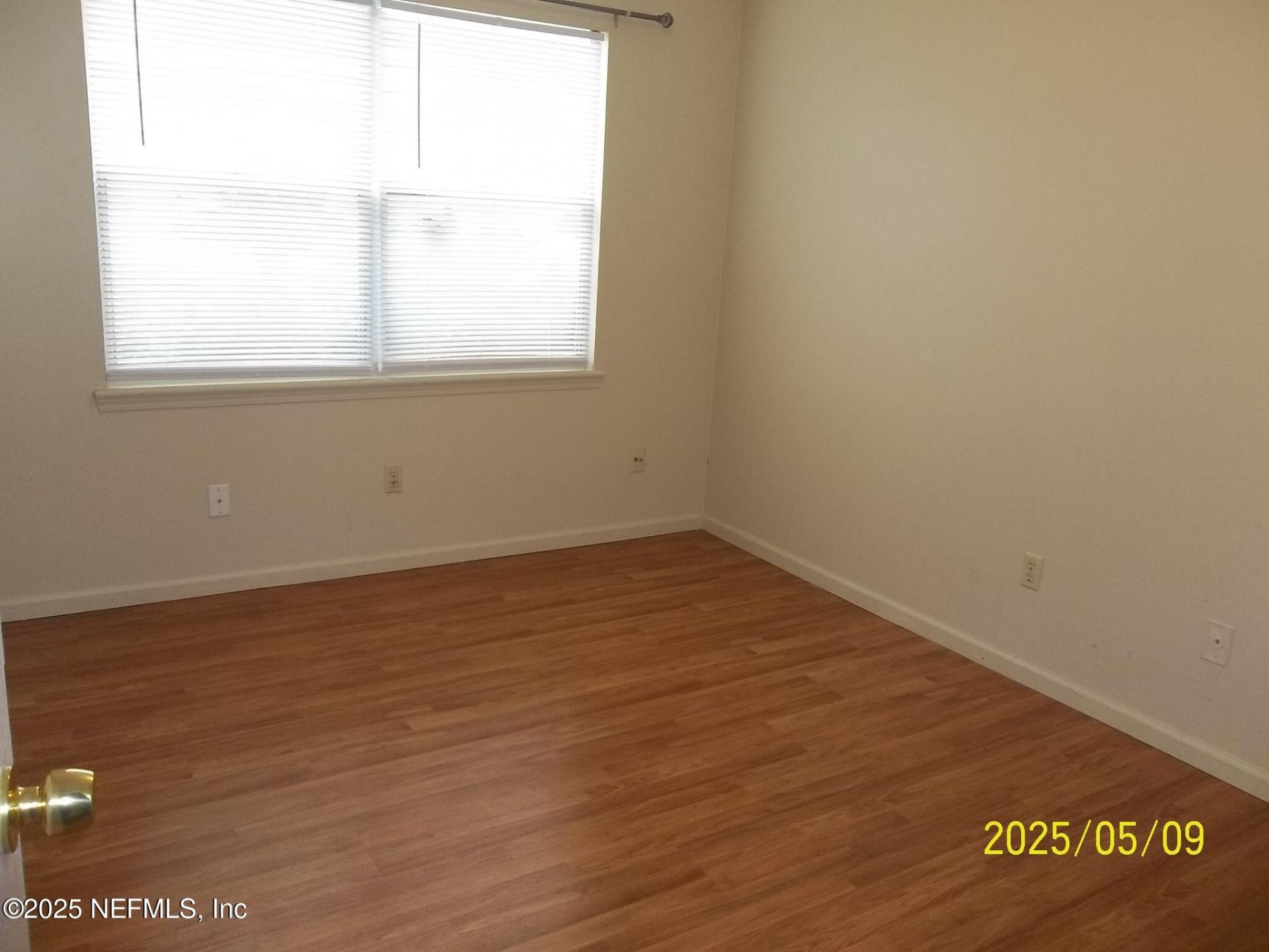 255 Leatherleaf Drive, Jacksonville, FL 32225 Photo