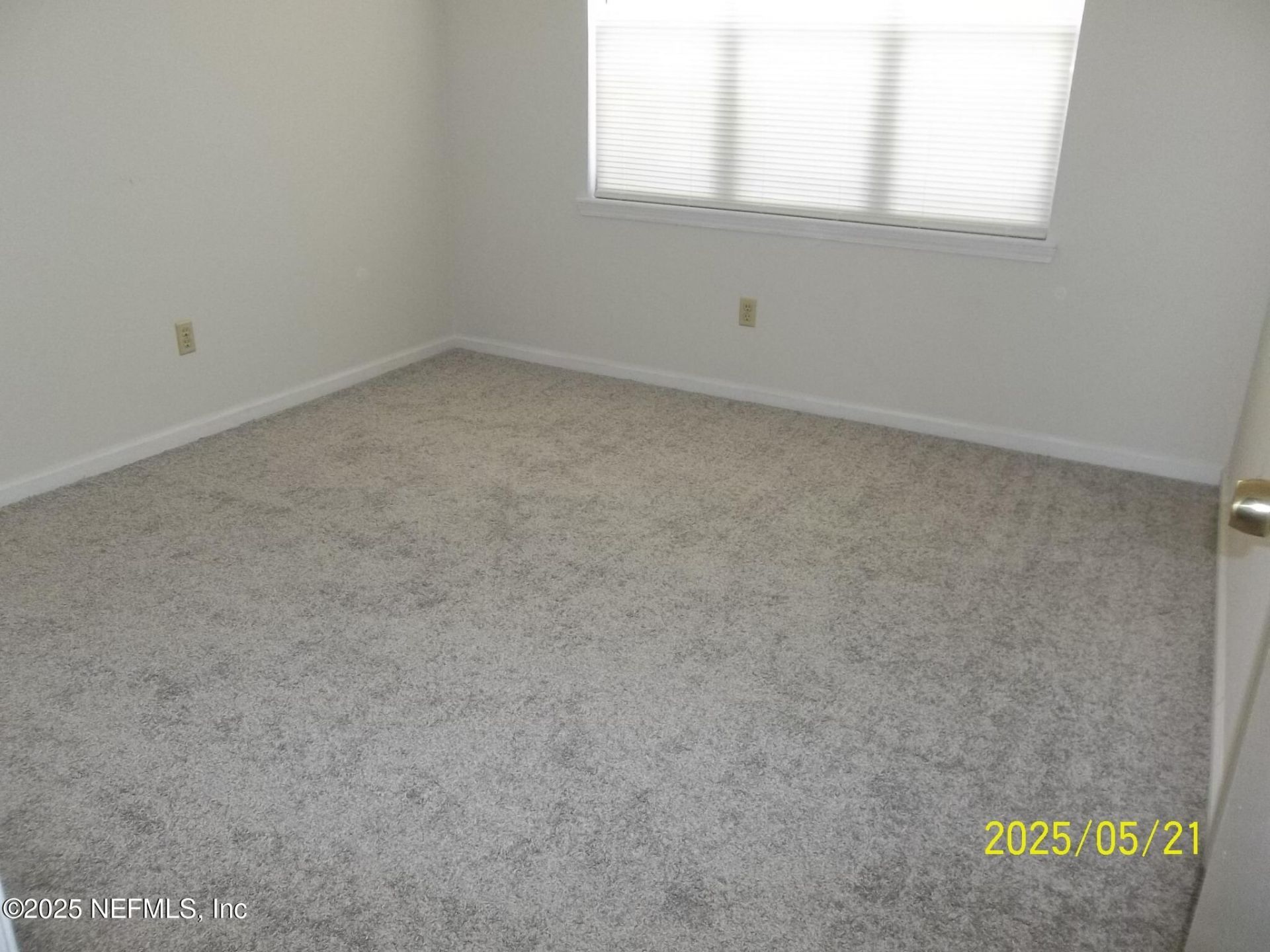 255 Leatherleaf Drive, Jacksonville, FL 32225 Photo