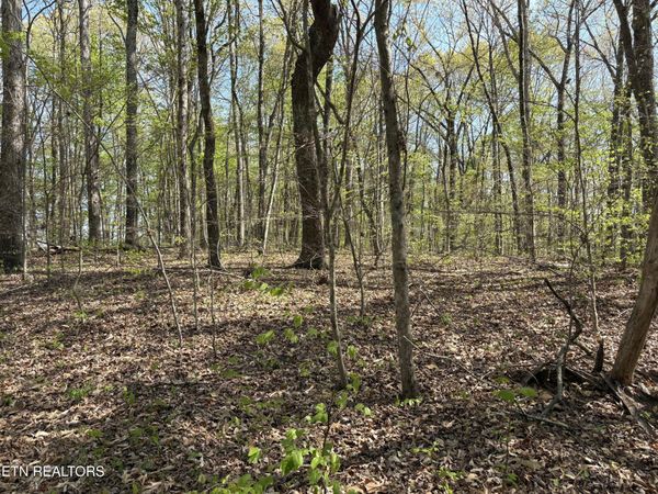 Grainger Landing, Rutledge, TN 37861