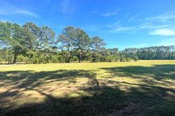 7246 Jones Road photo 4