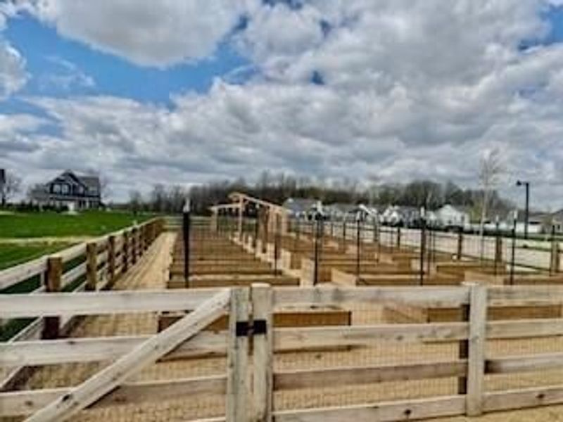 6886 Gelderland Drive, Hilliard, OH 43026 Photo 38