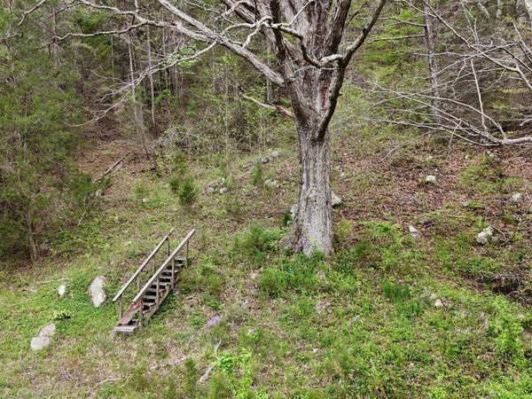 Tract 1 Grassy Creek Road, Rogersville, TN 37857