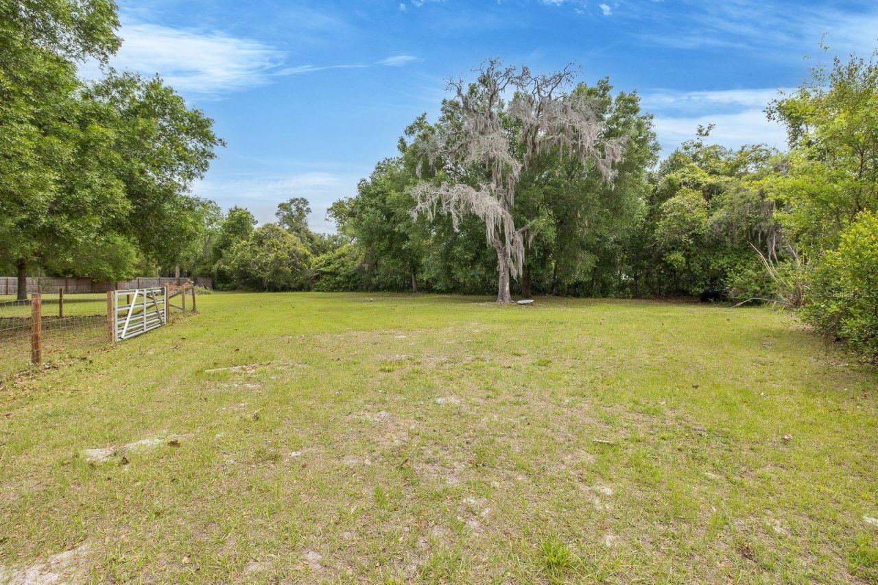 12600 Canton Avenue, Hudson, FL 34669 Photo