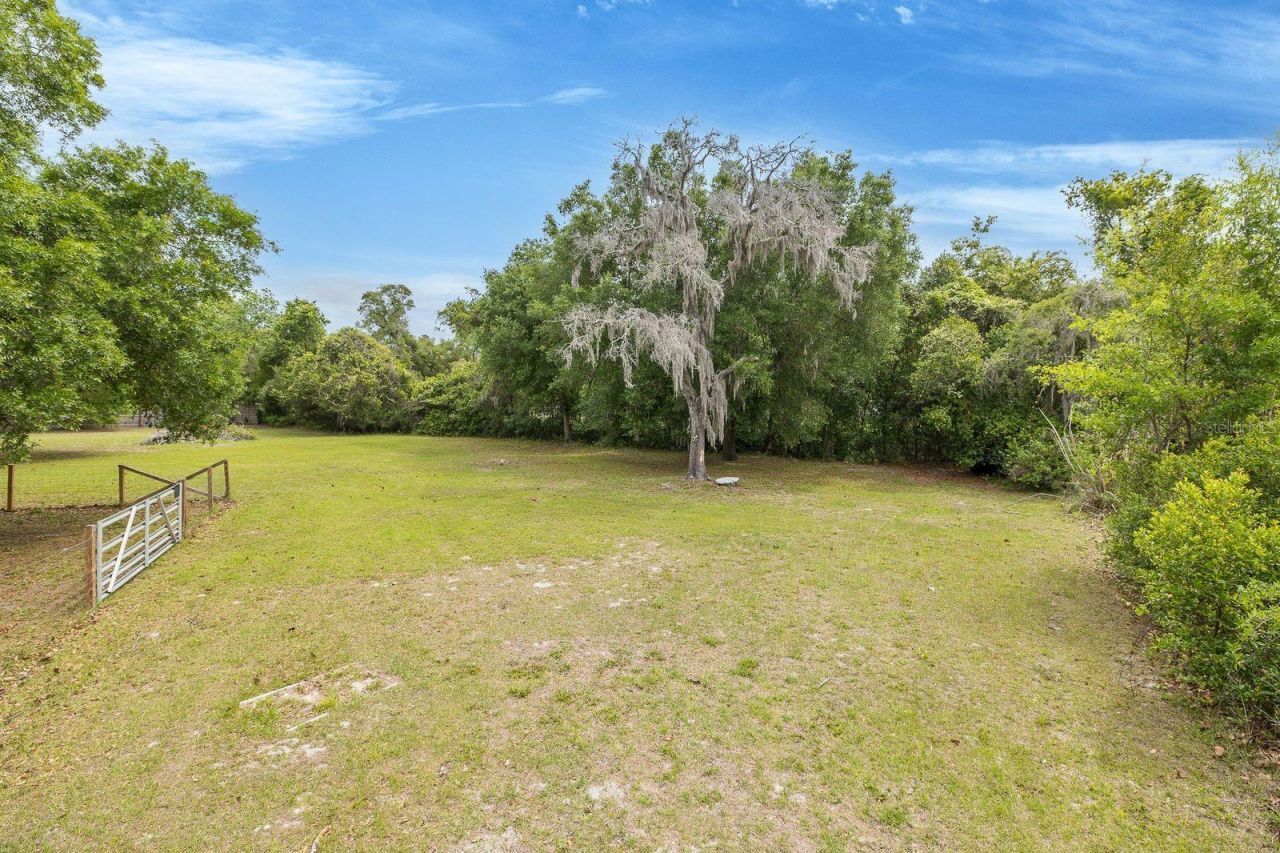 12600 Canton Avenue, Hudson, FL 34669 Photo