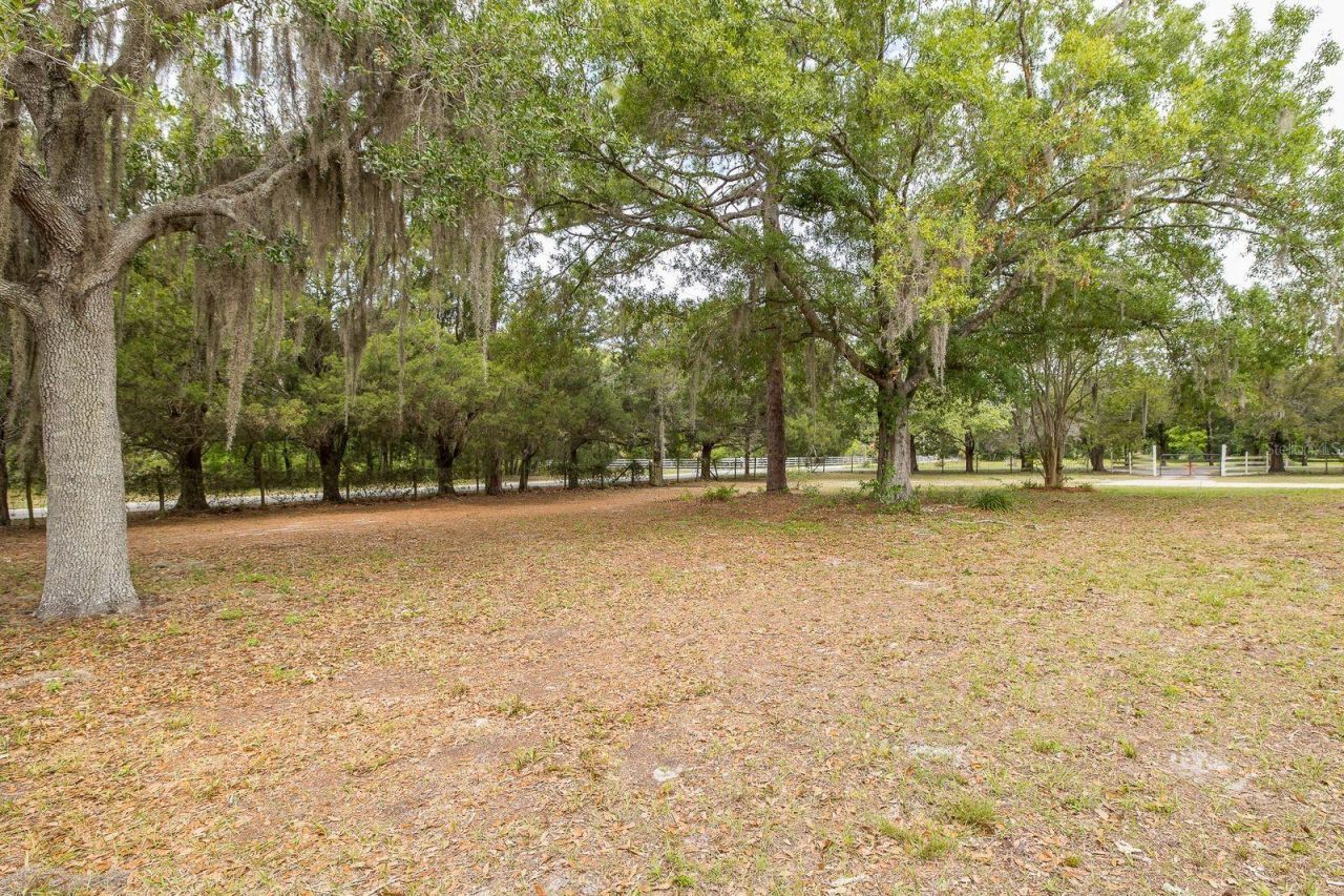 12600 Canton Avenue, Hudson, FL 34669 Photo
