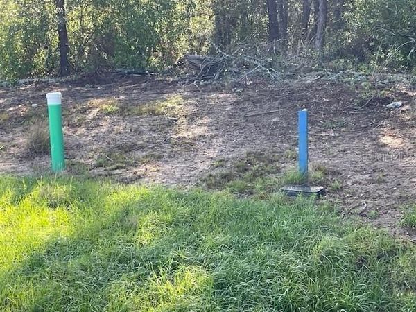 1318 HOMOSASSA DRIVE , KISSIMMEE, FL 34759