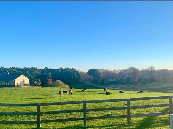 W10708 468th Avenue, Prescott, WI 54021