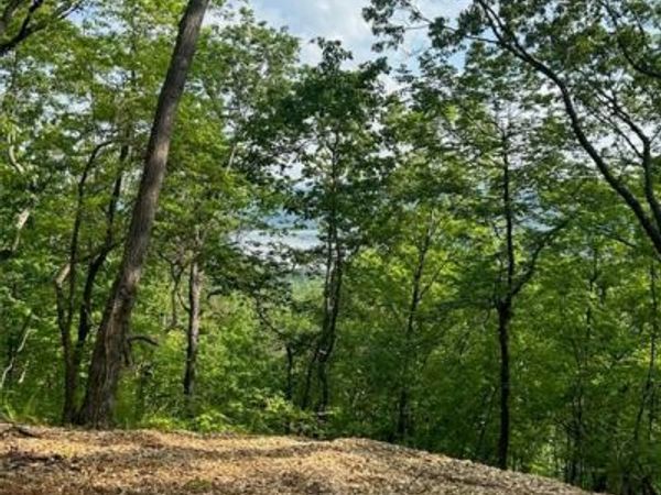 324 Adair Drive, Ranger, GA 30734