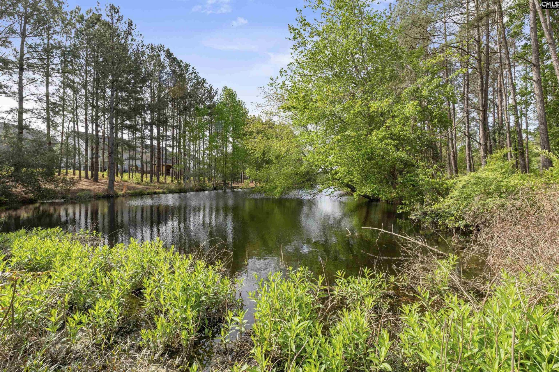 222 Falling Leaves Lane Photo 24