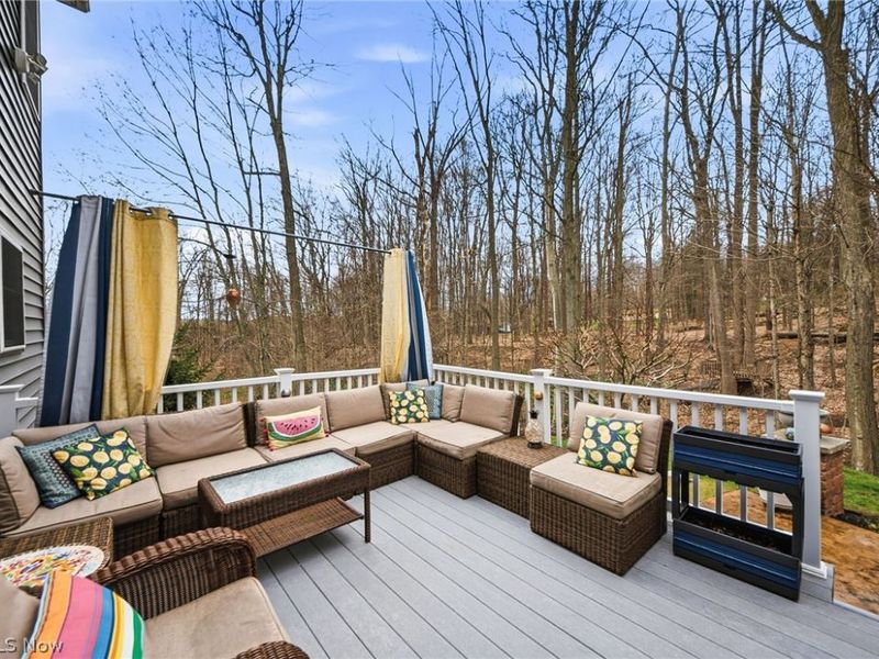 253 Anne Marie Court , Hinckley, OH 44233 Photo 45