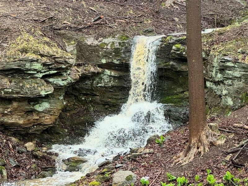 253 Anne Marie Court , Hinckley, OH 44233 Photo 47