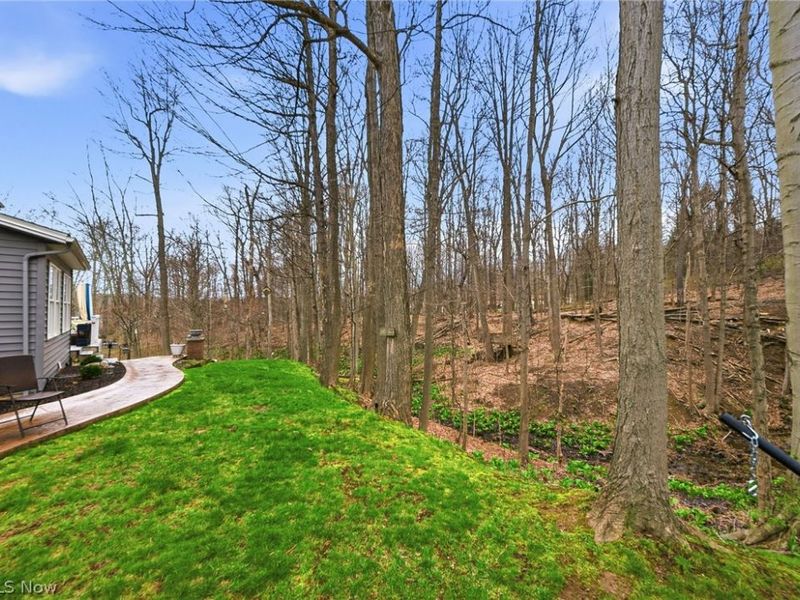 253 Anne Marie Court , Hinckley, OH 44233 Photo 49