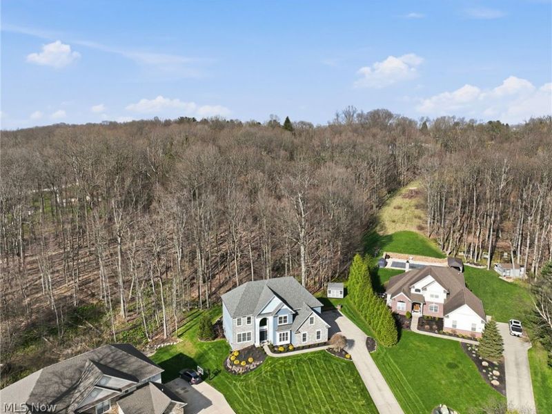 253 Anne Marie Court , Hinckley, OH 44233 Photo 50