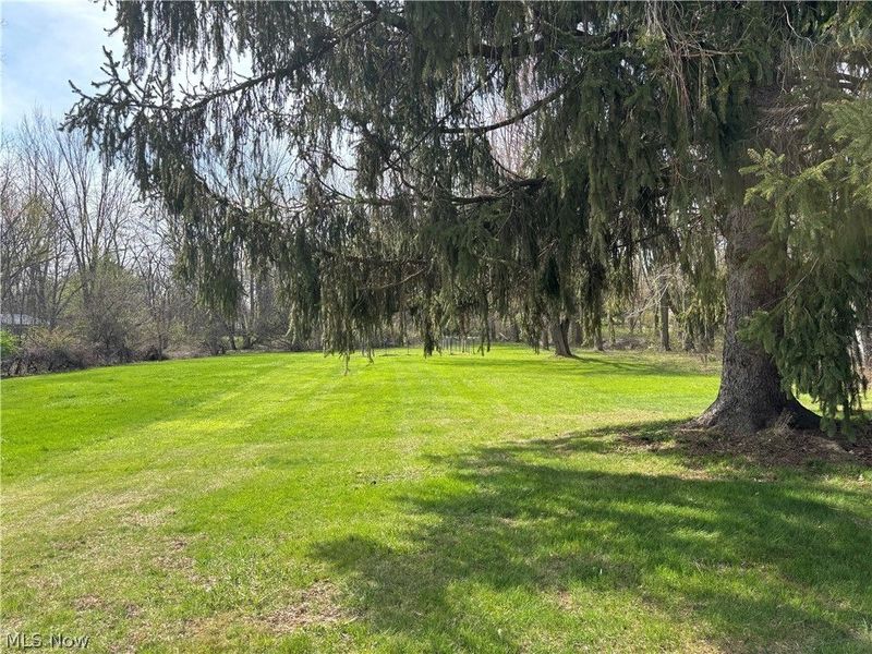 224 S Leavitt Road , Amherst, OH 44001 Photo 38