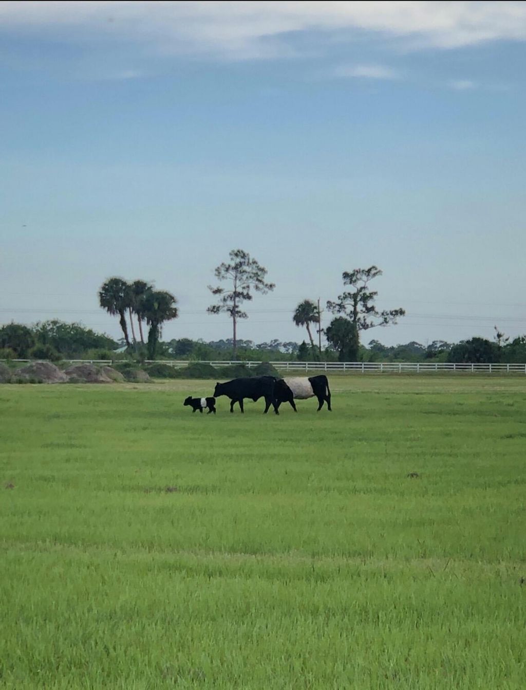 8105 SW Kanner Highway, Indiantown, FL 34956 Photo