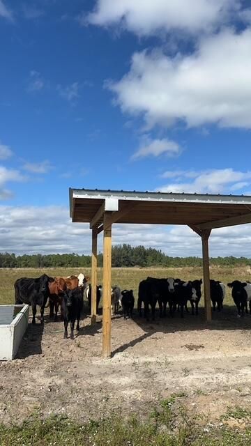 8105 SW Kanner Highway, Indiantown, FL 34956 Photo