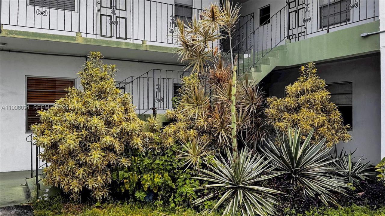 2219 Polk St, Unit 8A, Hollywood, FL 33020 Photo