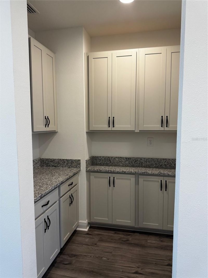 17425 Savory Mist Circle, Bradenton, FL 34211 Photo