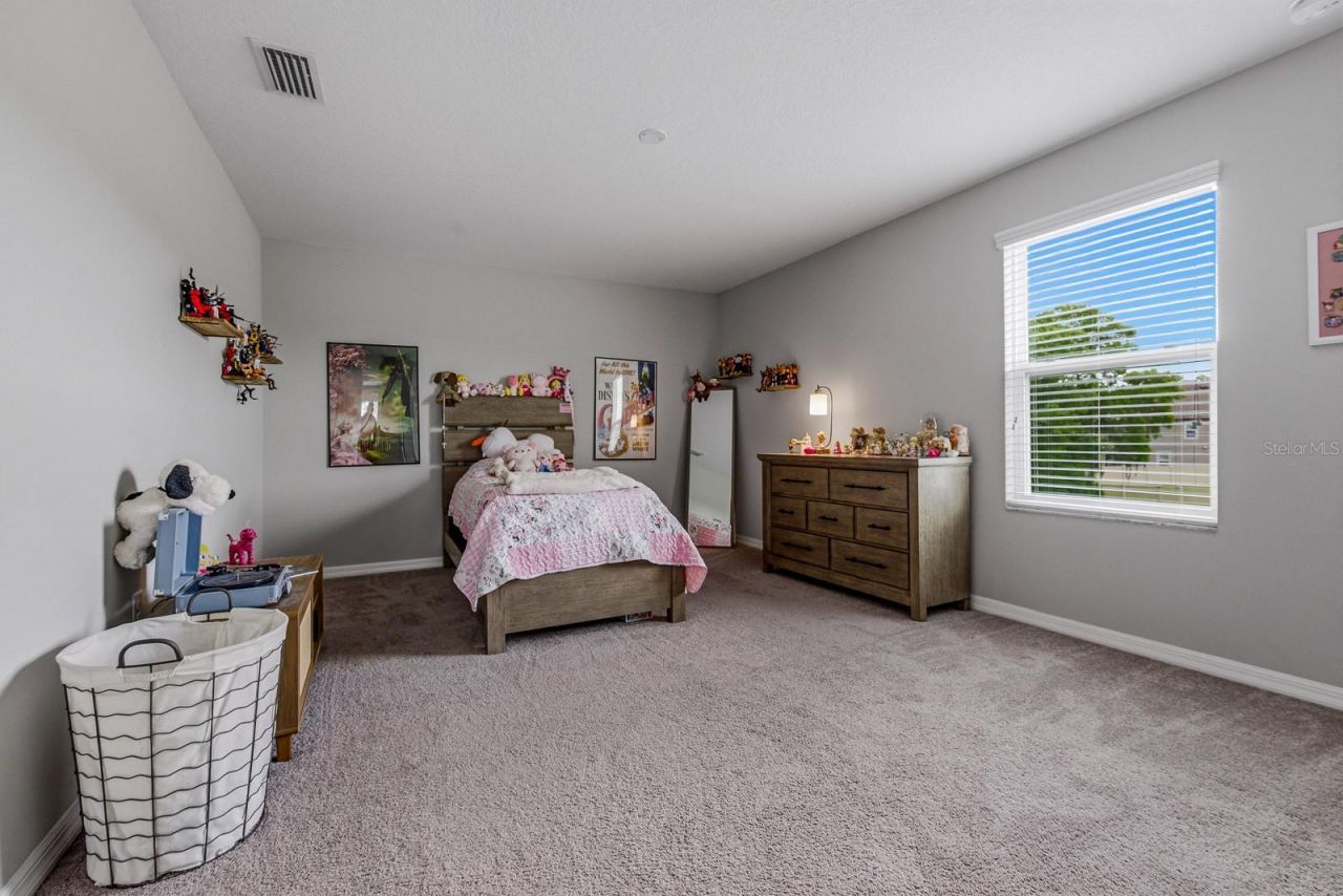 17834 Cortes Creek Boulevard , Spring Hill, FL 34610 Photo