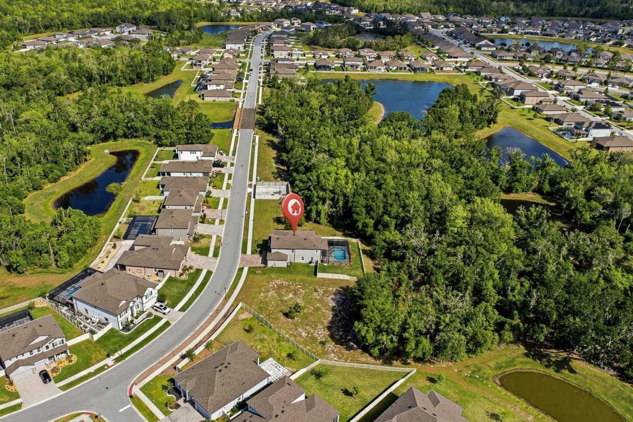 17834 Cortes Creek Boulevard , Spring Hill, FL 34610 Photo