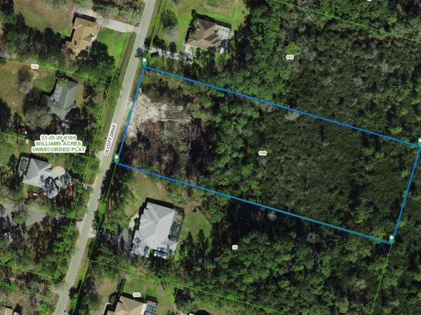 31-25-20-0100-069N0-0000 OLCOTT DRIVE , WESLEY CHAPEL, FL 33544