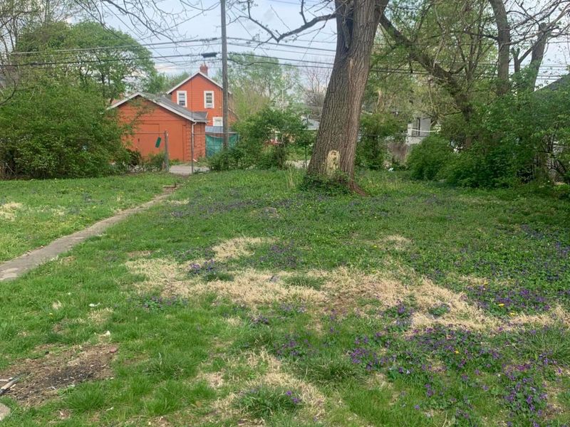 376 S Powell Avenue , Columbus, OH 43204 Photo 6