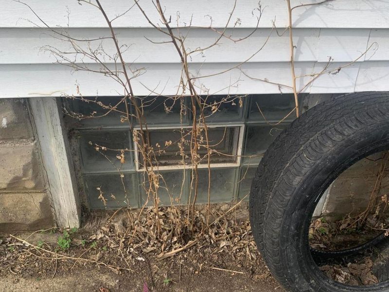 376 S Powell Avenue , Columbus, OH 43204 Photo 7