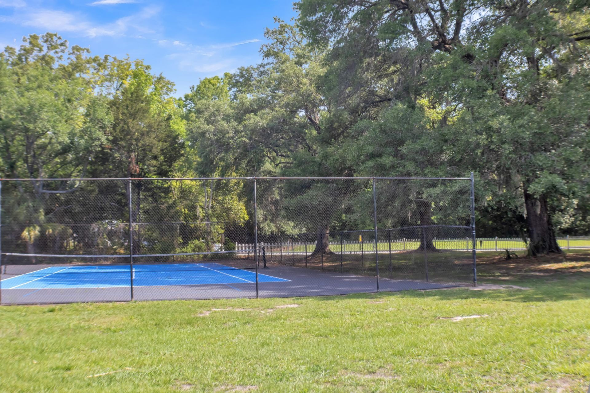 4407 Great Oak Drive Photo 39