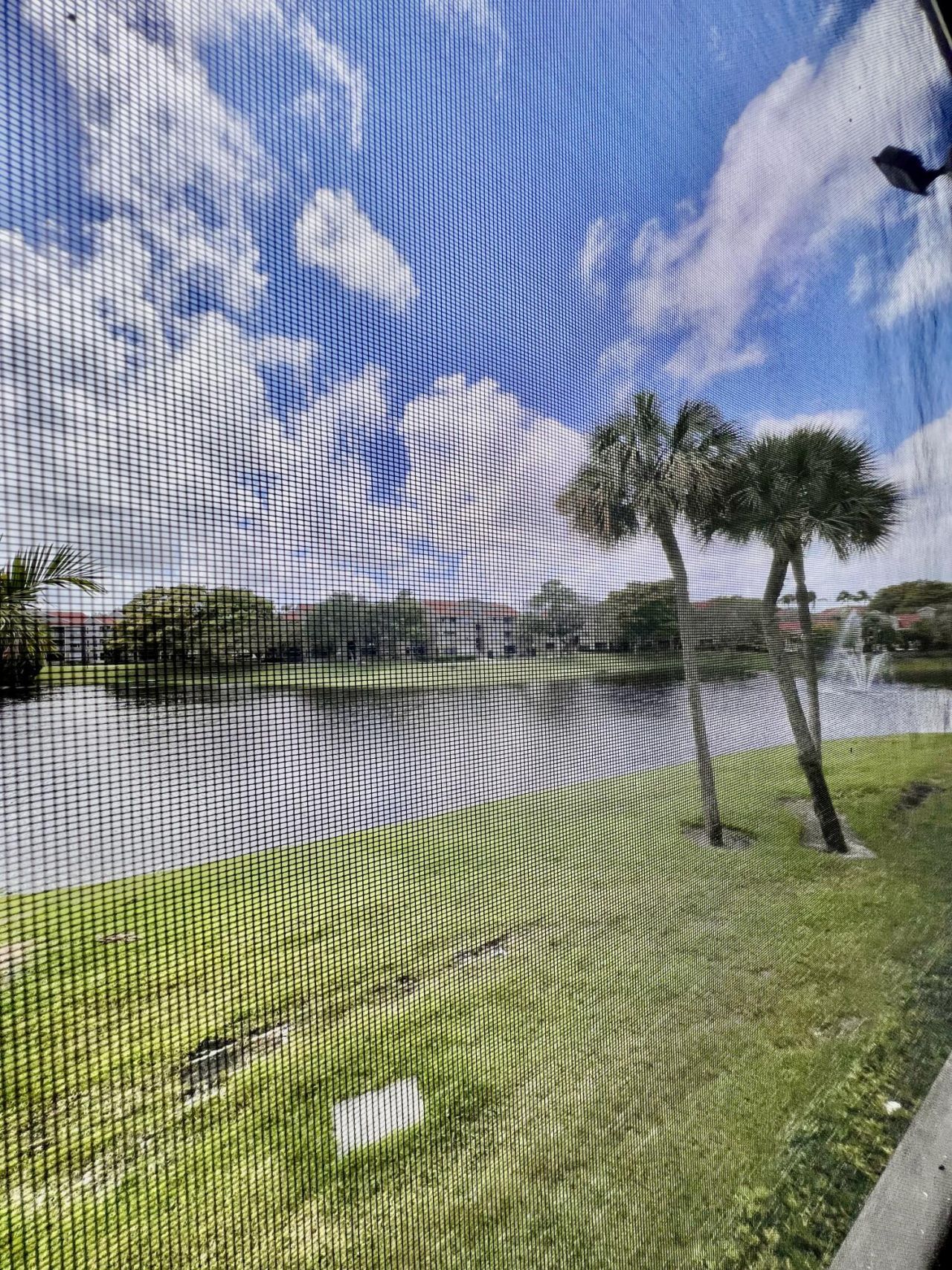 1850 Homewood Boulevard, Unit 2070, Delray Beach, FL 33445 Photo
