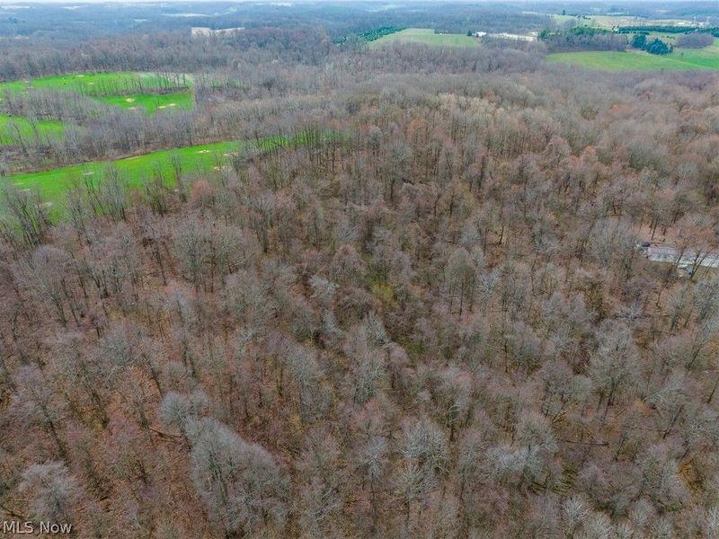 Pledge Road, Carrollton, OH 44615 Photo 1