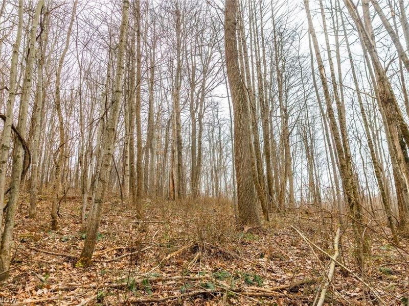 Pledge Road, Carrollton, OH 44615 Photo 10