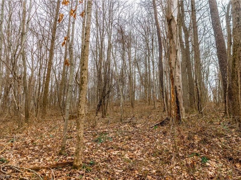 Pledge Road, Carrollton, OH 44615 Photo 11