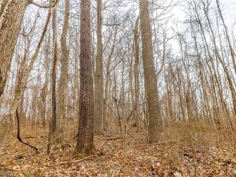 Pledge Road, Carrollton, OH 44615 Photo 12