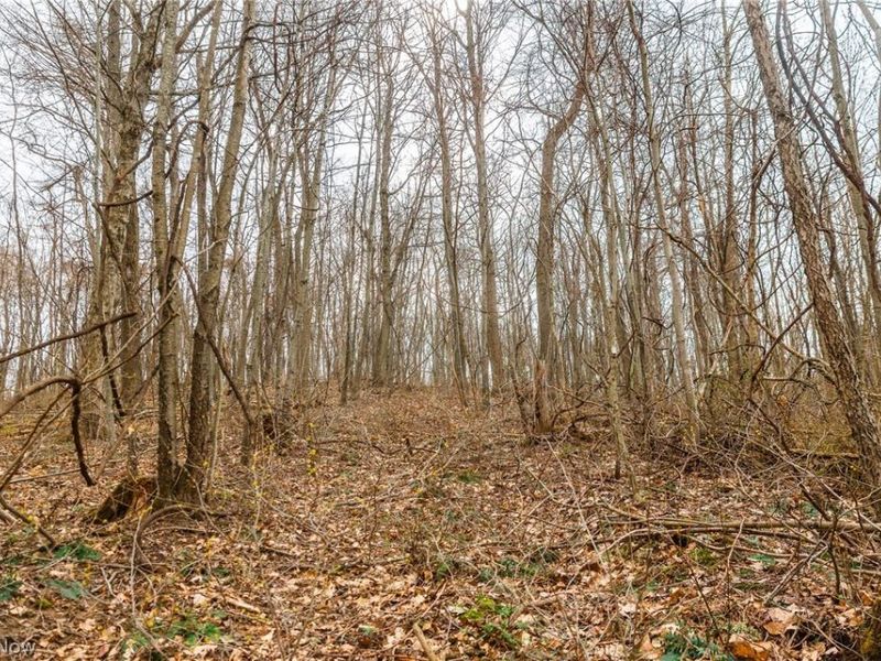 Pledge Road, Carrollton, OH 44615 Photo 13