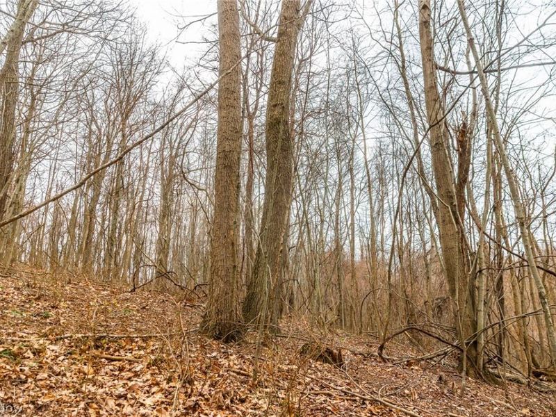 Pledge Road, Carrollton, OH 44615 Photo 14