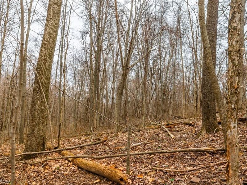 Pledge Road, Carrollton, OH 44615 Photo 16