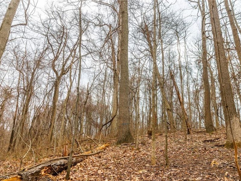 Pledge Road, Carrollton, OH 44615 Photo 17