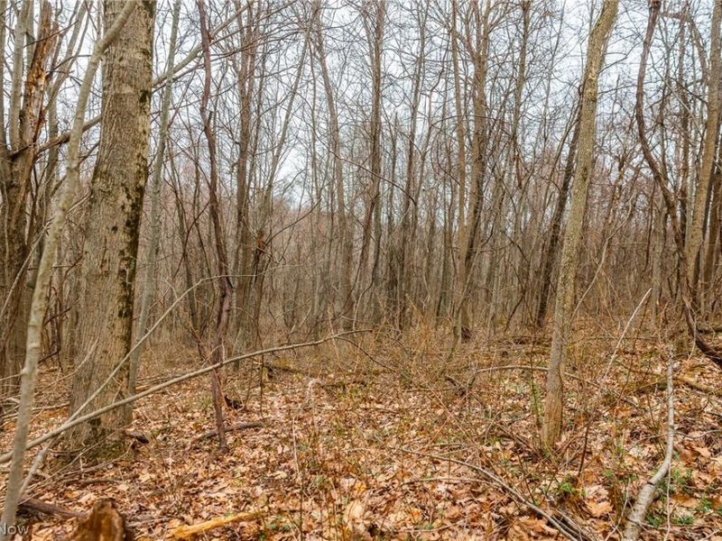 Pledge Road, Carrollton, OH 44615 Photo 19