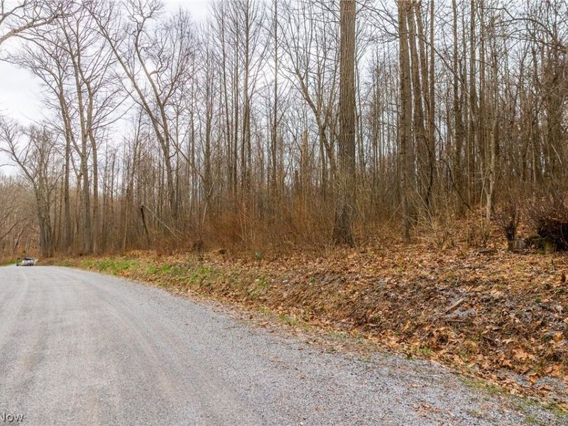 Pledge Road, Carrollton, OH 44615 Photo 2