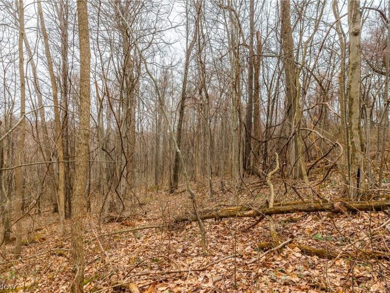 Pledge Road, Carrollton, OH 44615 Photo 21