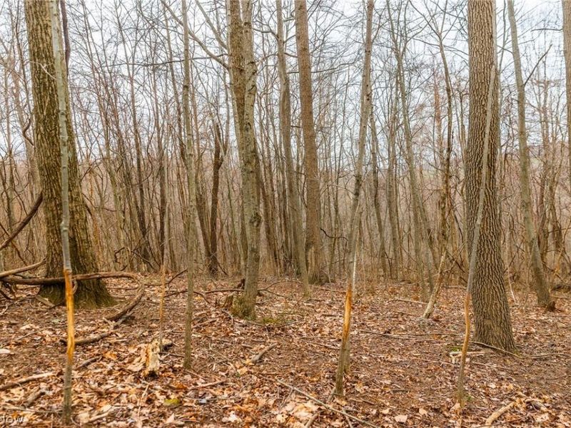 Pledge Road, Carrollton, OH 44615 Photo 22