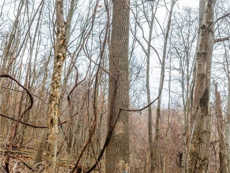 Pledge Road, Carrollton, OH 44615 Photo 24