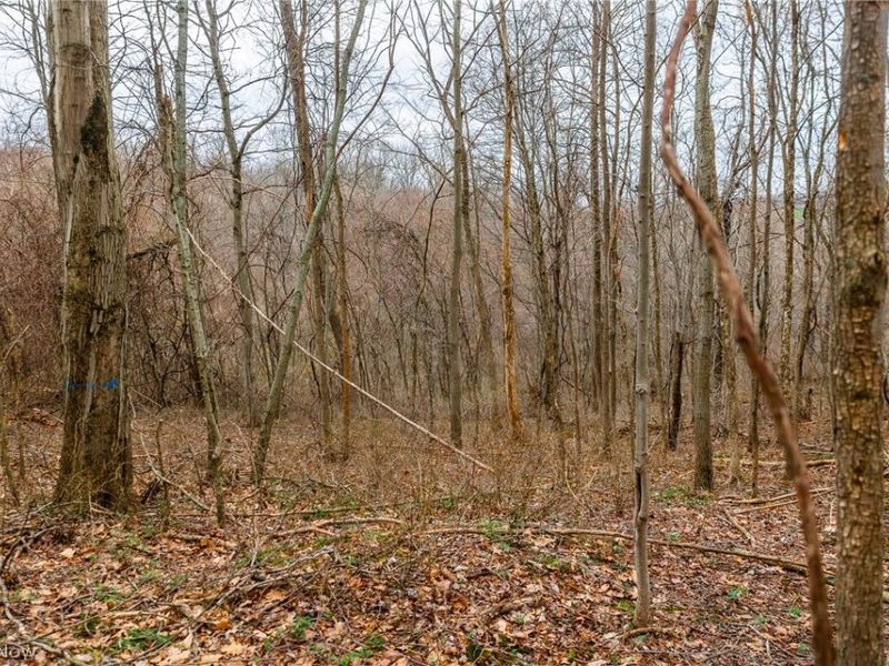 Pledge Road, Carrollton, OH 44615 Photo 25