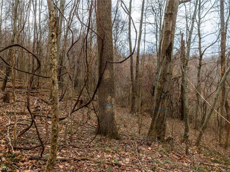 Pledge Road, Carrollton, OH 44615 Photo 26